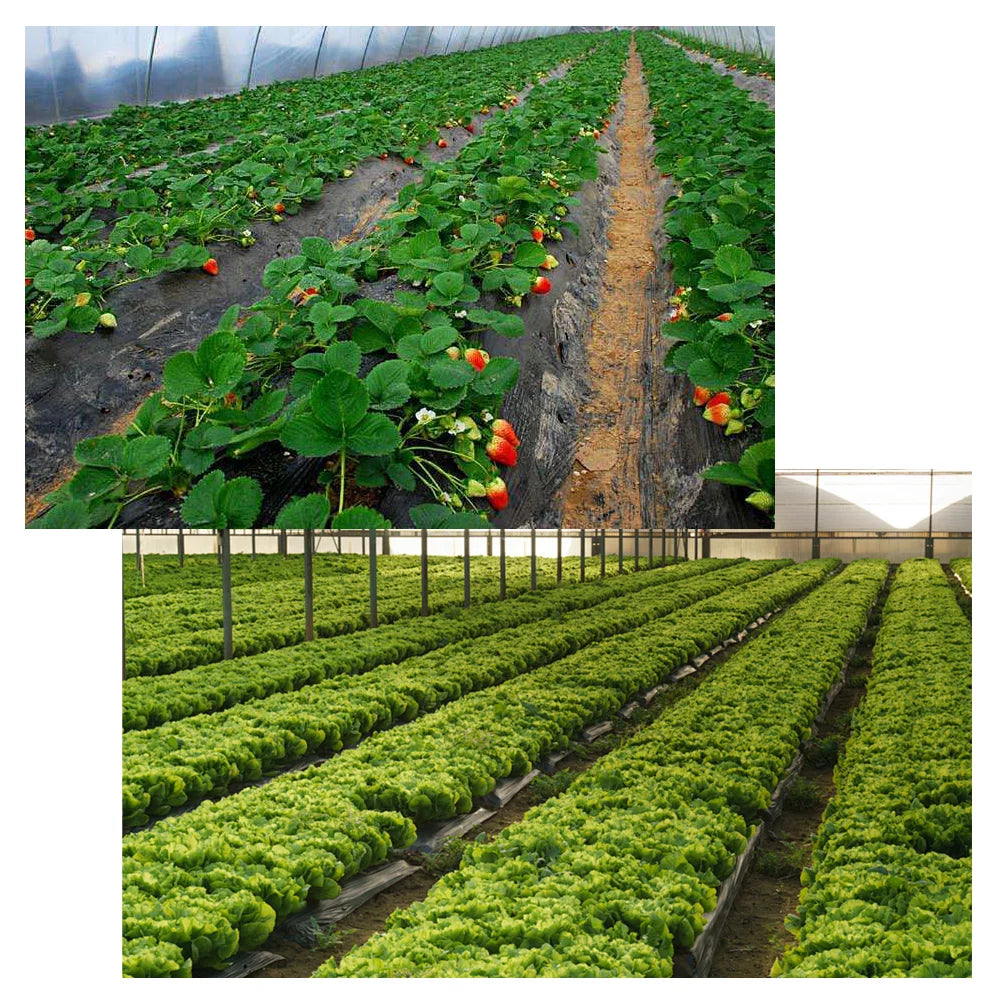 11/15/20/30cm Garden Landscaping Stakes Lawn Pins Pegs Garden Border Plastic Edging Anchoring Spikes for Outdoor Weed Barrier